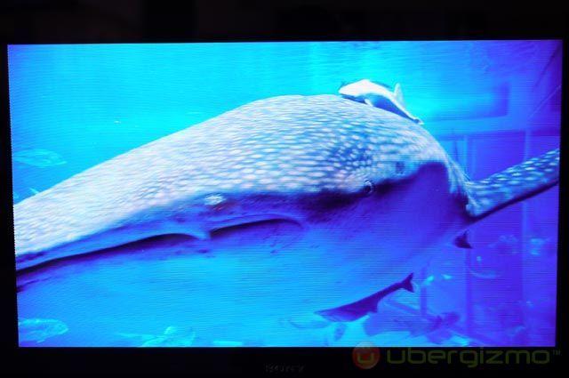sony-oled-3d-glasses-less-hero sony-oled-3d