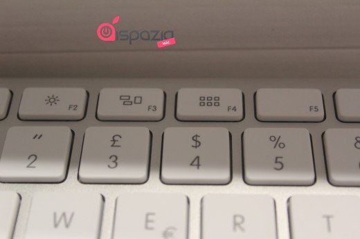 Lion Keyboard Lion Keyboard