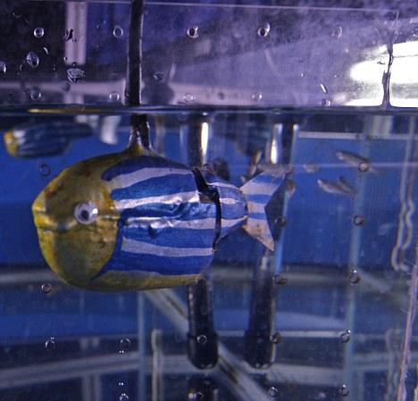 robot-fish