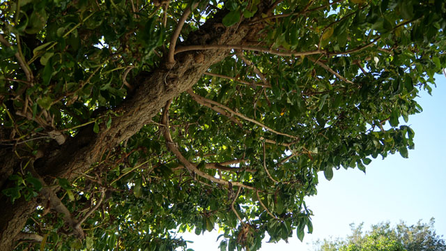 sony-nex-f3-samples-03