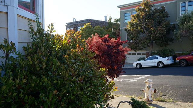 sony-nex-f3-samples-07