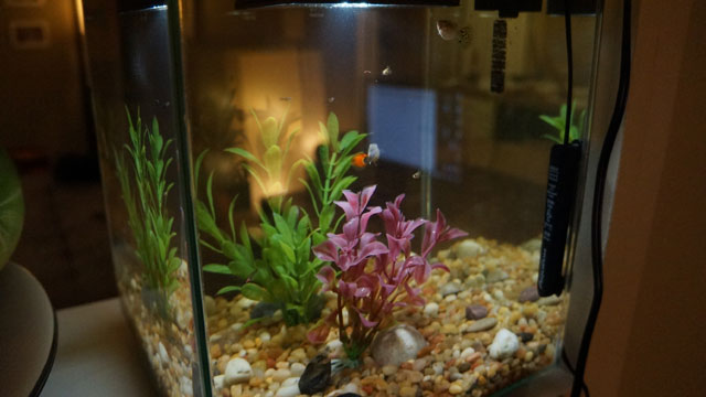 sony-nex-f3-samples-panorama