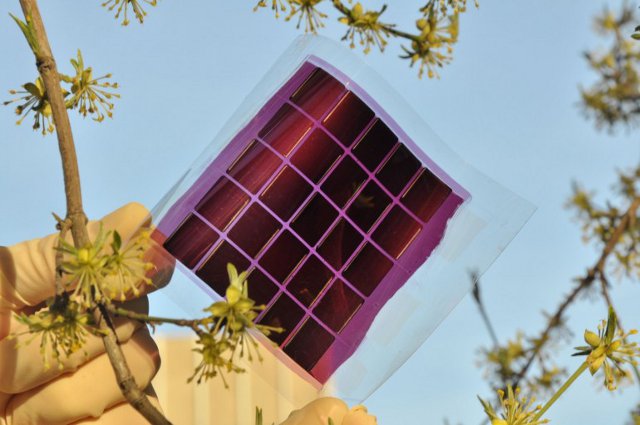 printable-organic-solar-cells-are-10-percent-more-energy-efficient