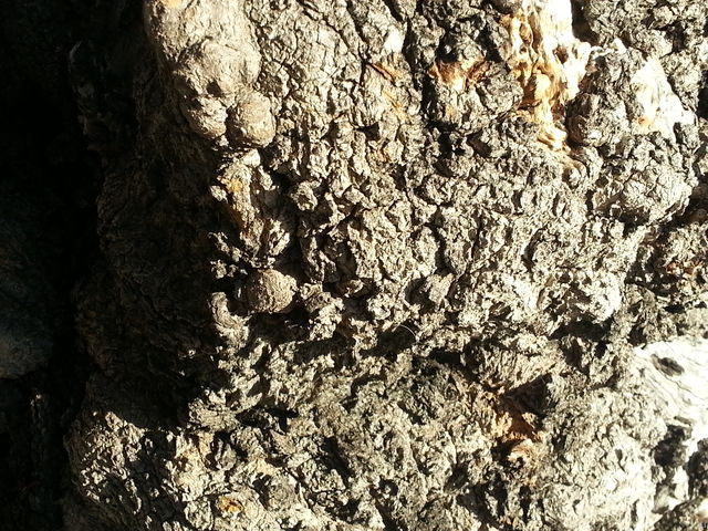 Samsung-Galaxy-S3-sample-06