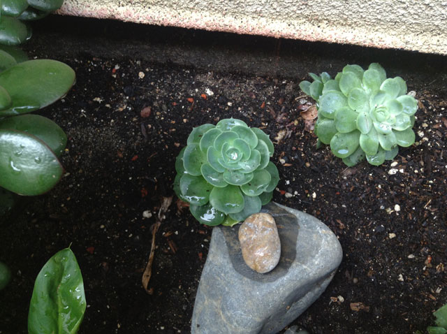 ipad-mini-photo-sample