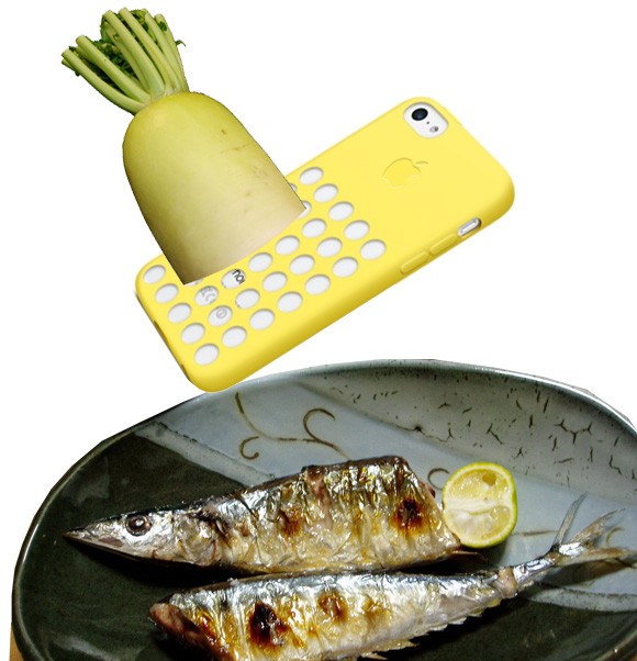 iphone-5c-case-grater