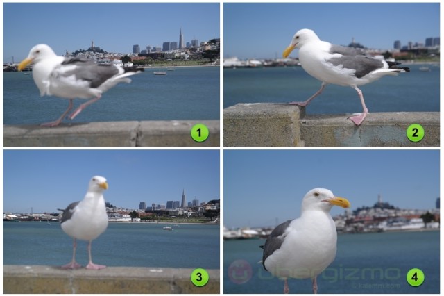 21 autofocus points don’t always help, as this sequence of images shows: four pictures taken in a row, in two of them the NX300 decided to focus on the background