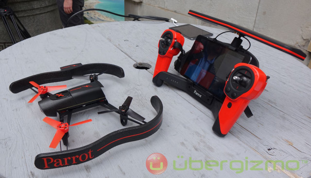 Parrot-beebop-27