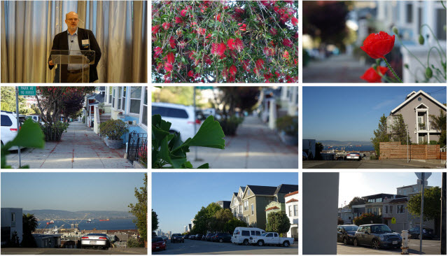 sony-rx10-samples-gallery-tiled