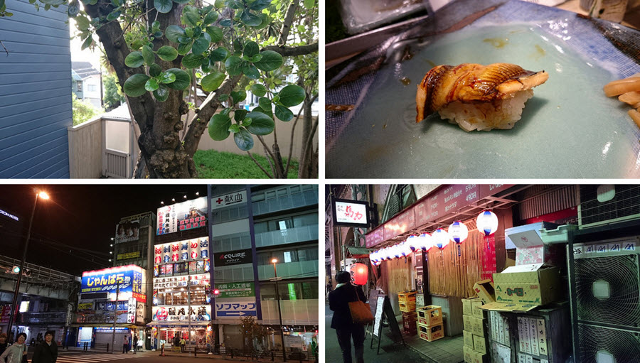 sony-xperia-z3-photo-samples-tile