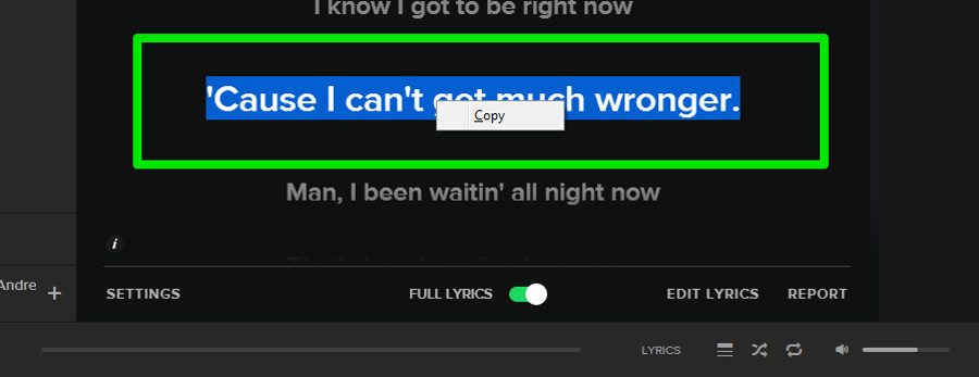 best spotify lyrics plugin