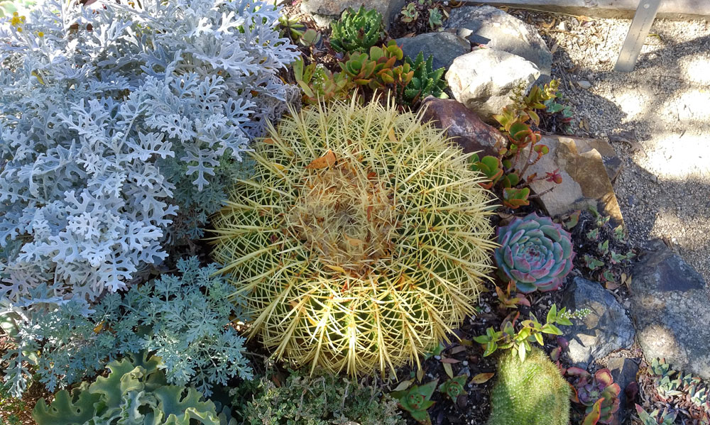 Shot with the BB PRIV, default app