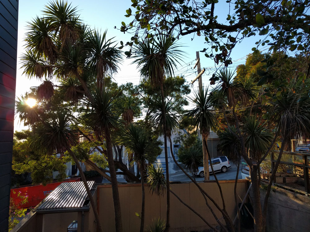 In bright conditions, the camera delivers excellent photos