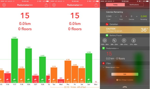 pedometer_1