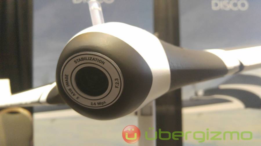 parrot_disco_2