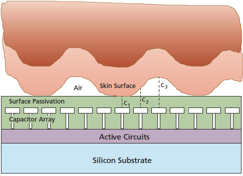 capacitive-fingerprint-scan