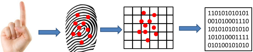 Image credit: om-softwares.net