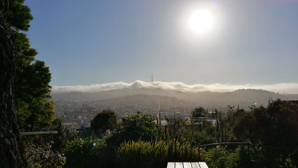This is a very challenging shot for metering/color-balance/AF systems. The P9 did very well