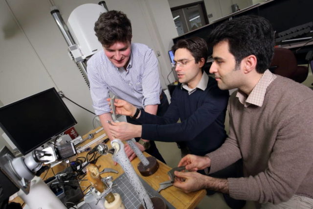 Image credit - Sajad Arabnejad et al., McGill University
