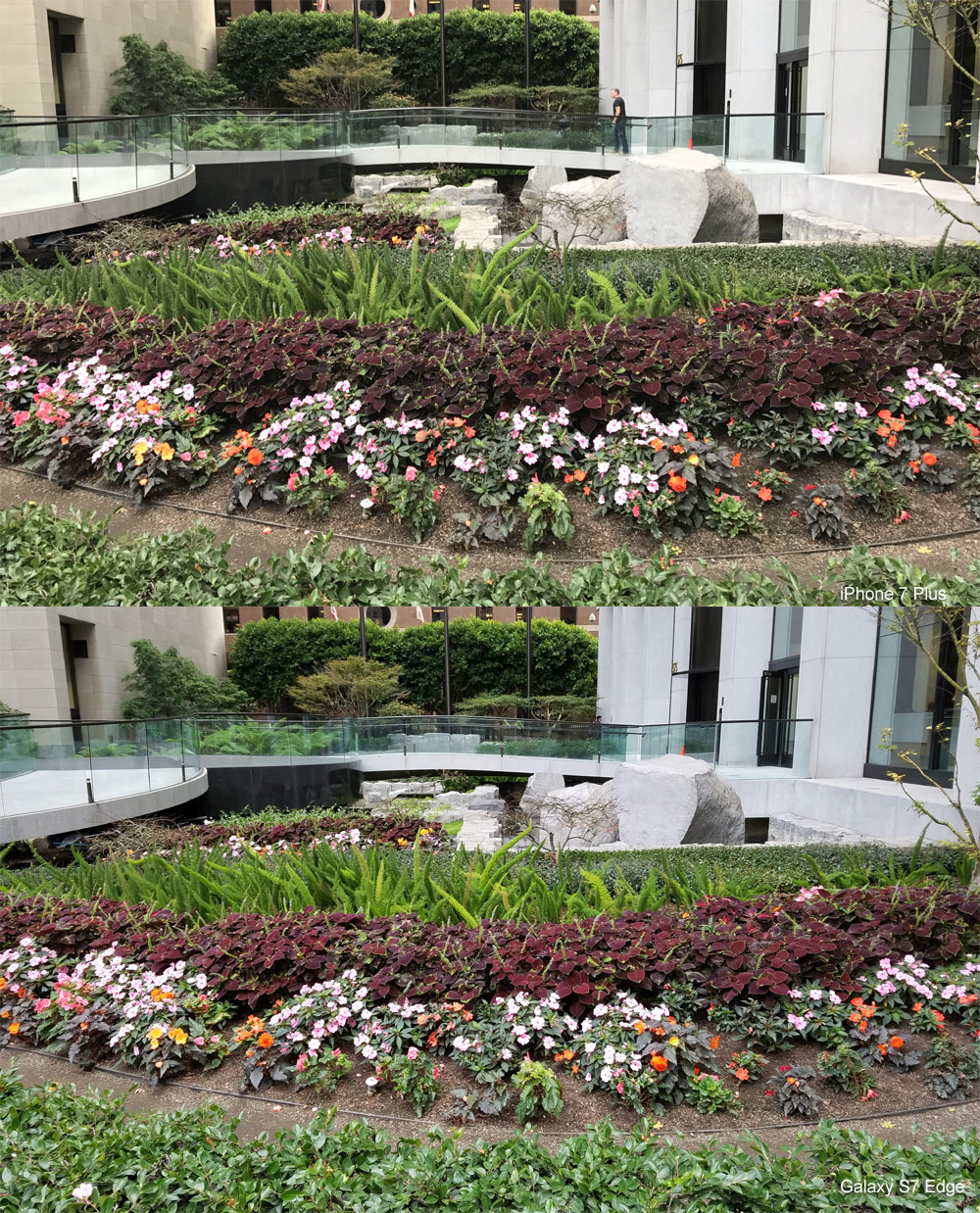 iphone-7p_vs_s7-edge_sf_flowers-001_web