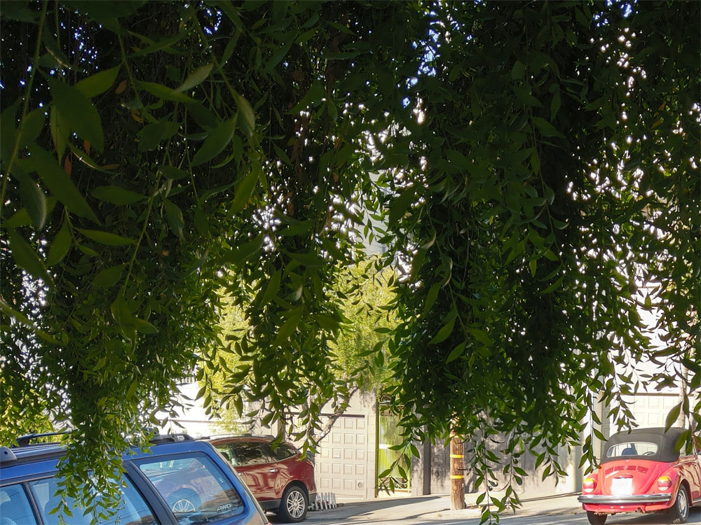 comparison image A