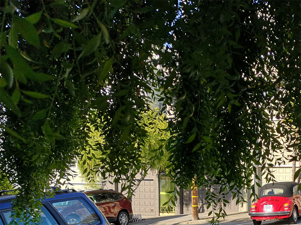 comparison image A