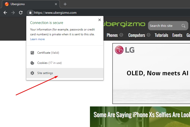 chrome site settings