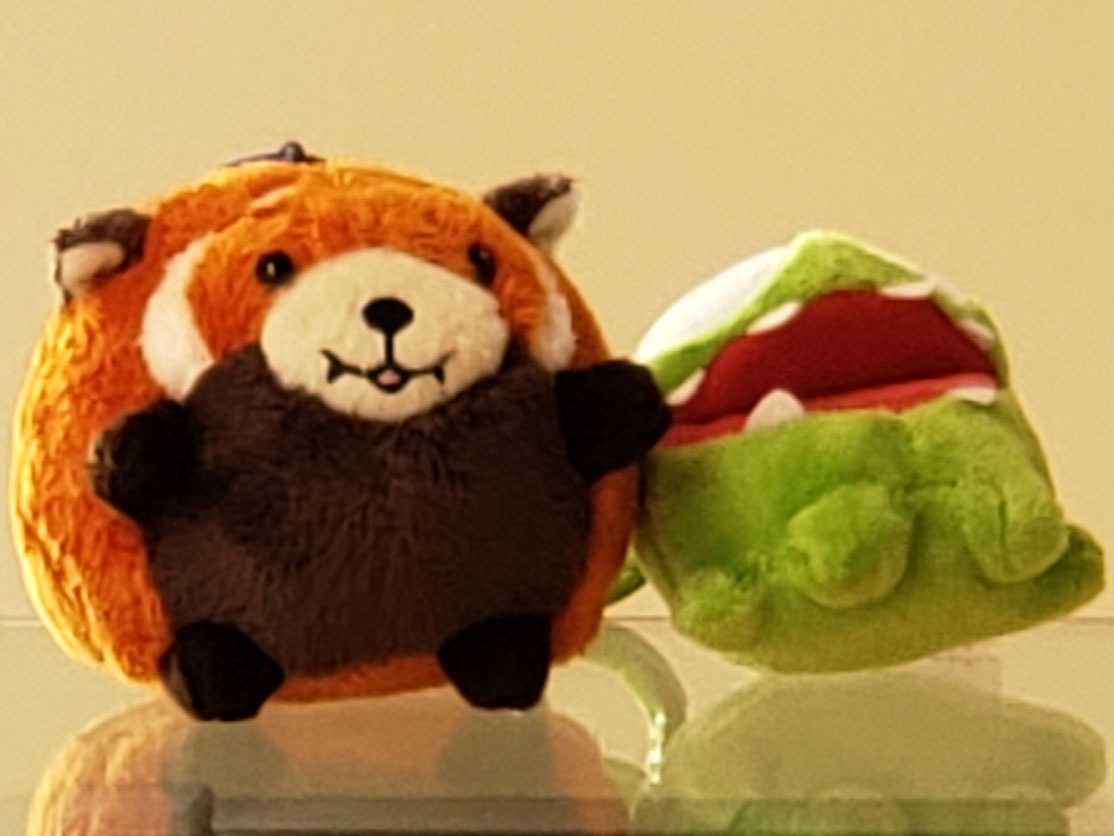 comparison image A