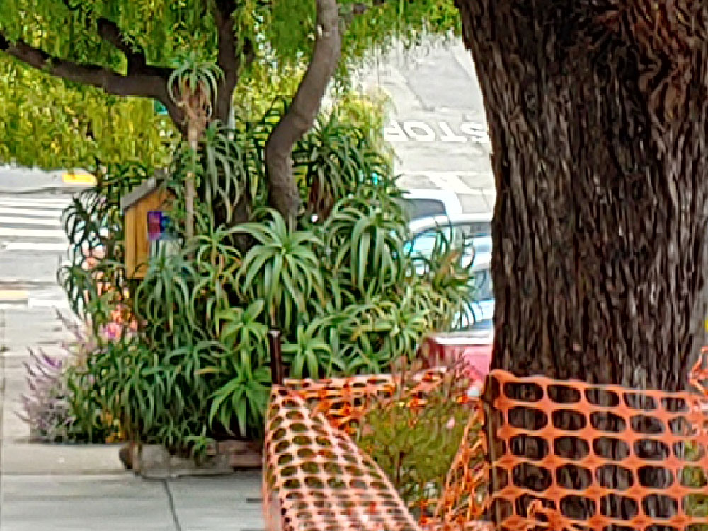 comparison image A