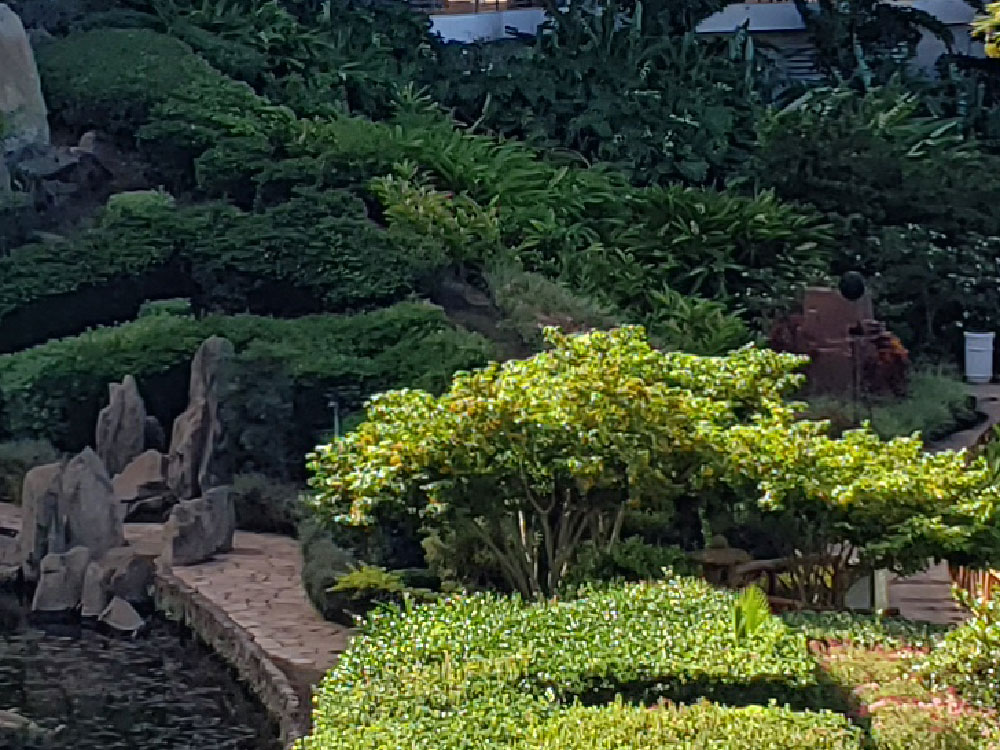comparison image B