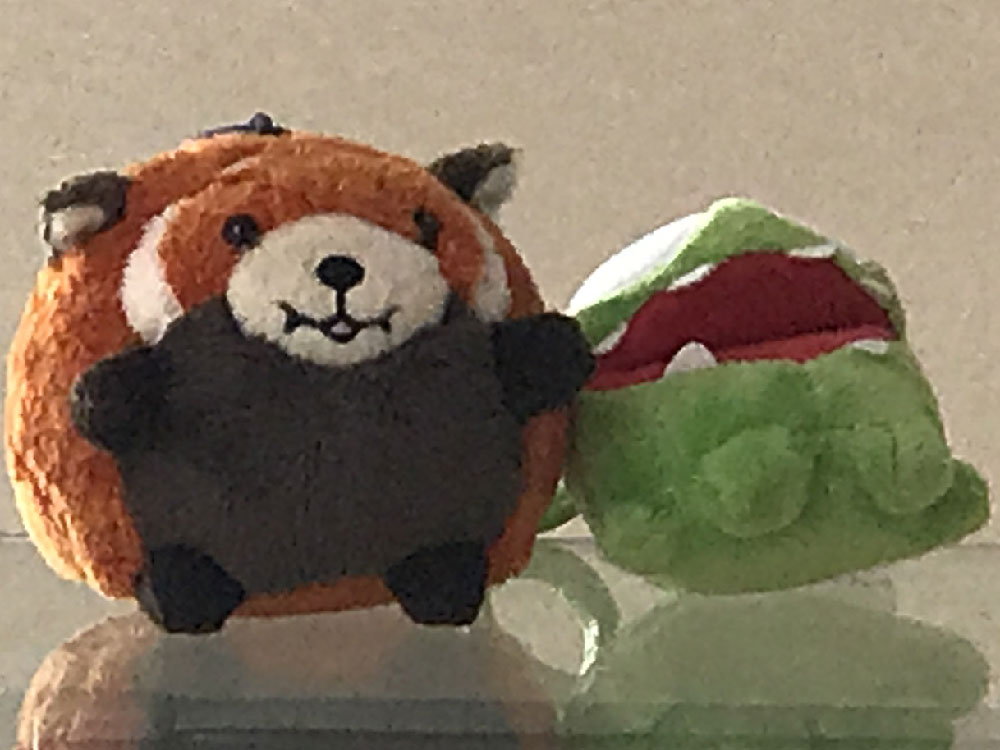 comparison image B