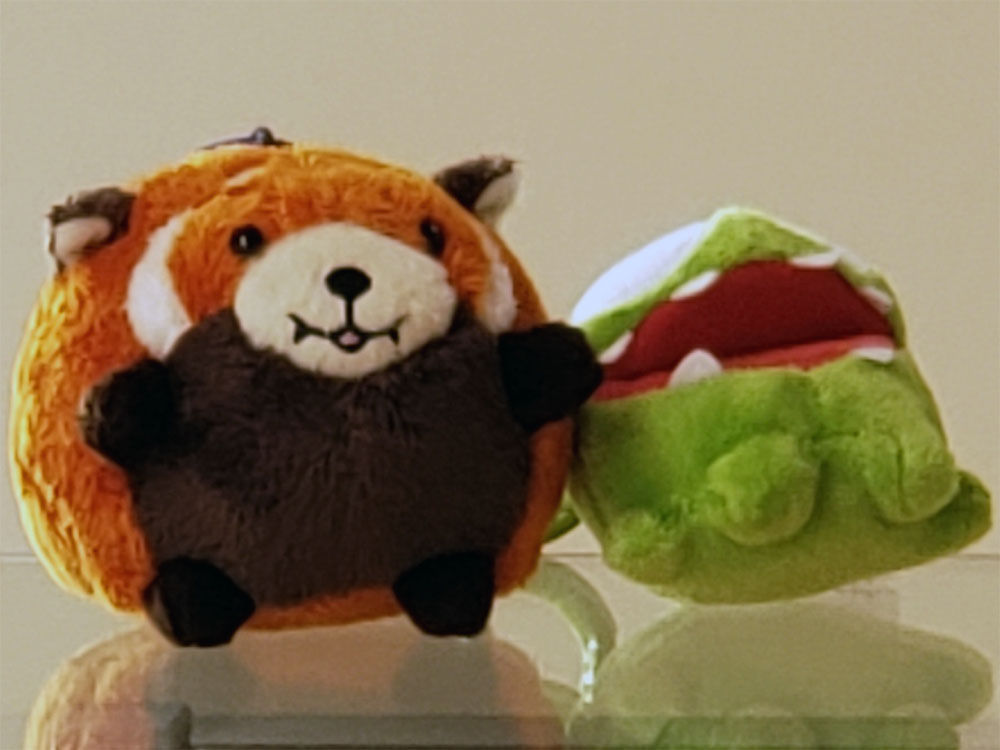 comparison image B