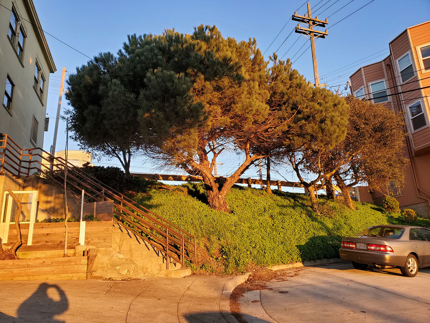 comparison image A