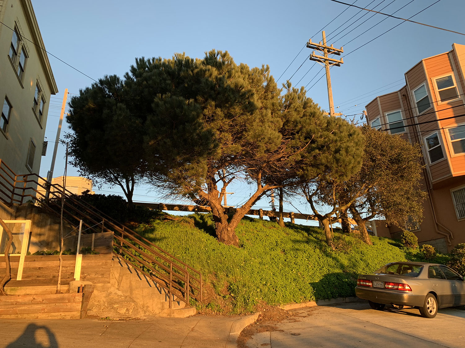 comparison image B