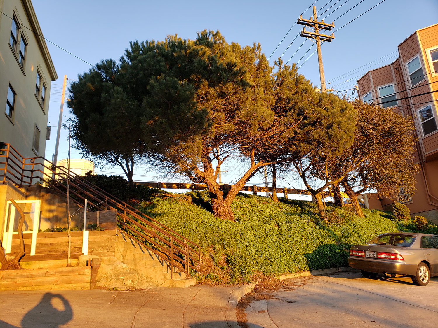 comparison image B